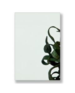 Enkel glas Groen 8 mm