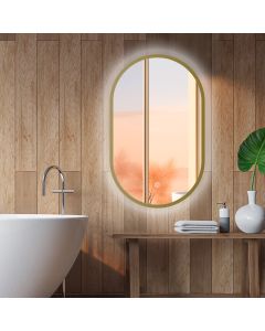 LED spiegel ovaal met goud metalen frame - 450x750mm